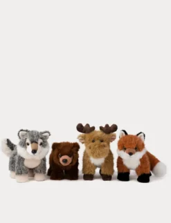 Teddy Forest, Räv