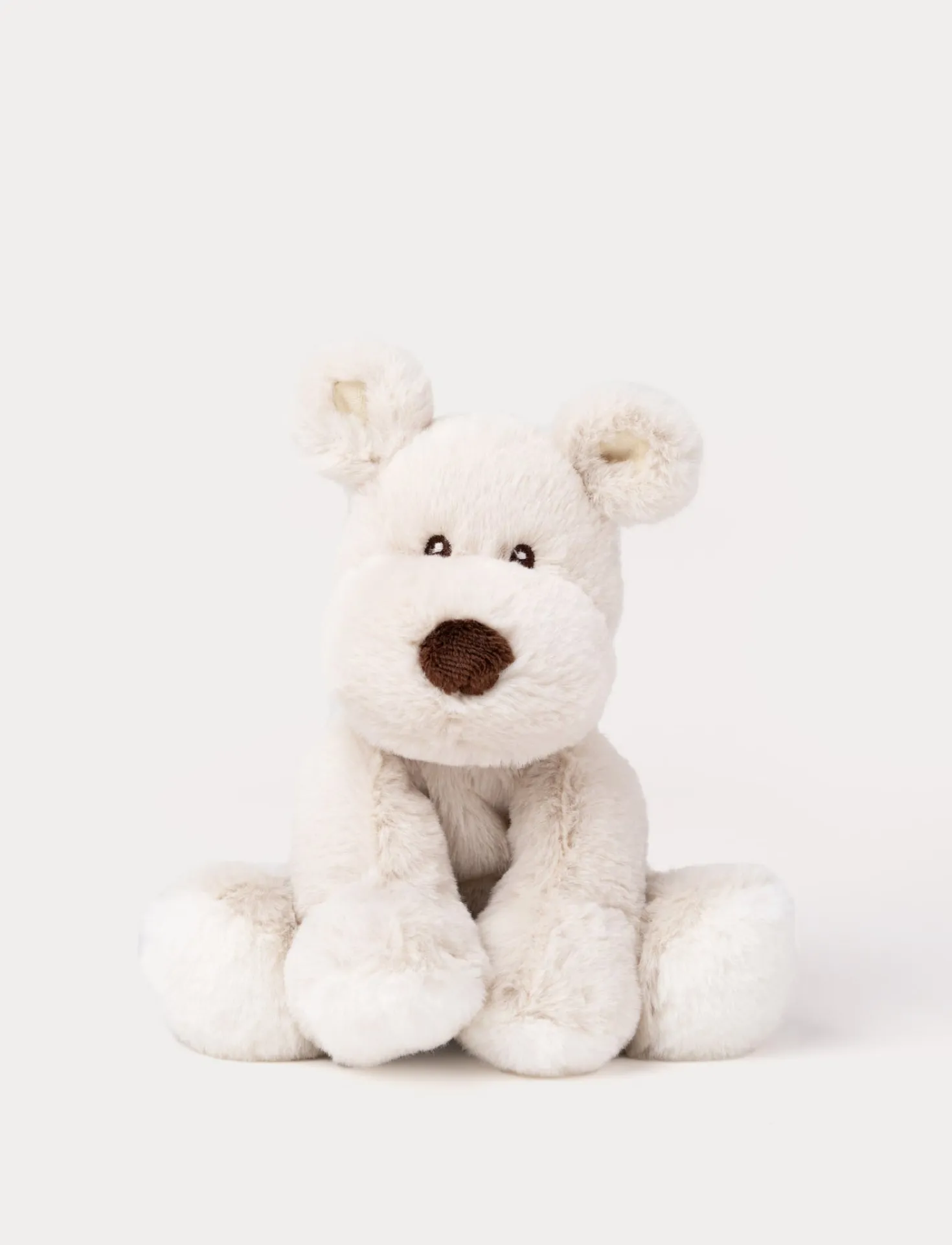 Teddy Mocca, Hund, Liten