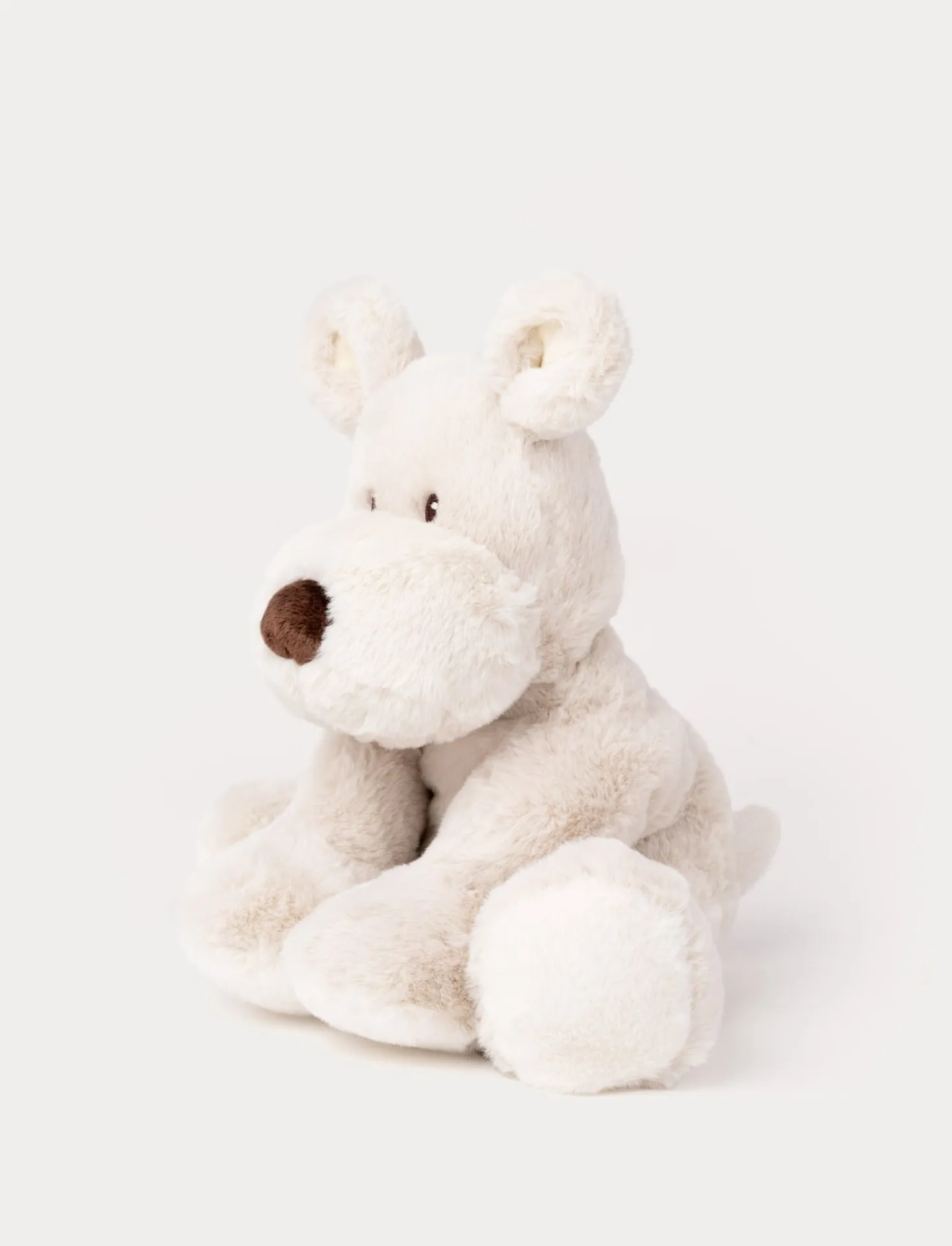 Teddy Mocca, Hund, Stor