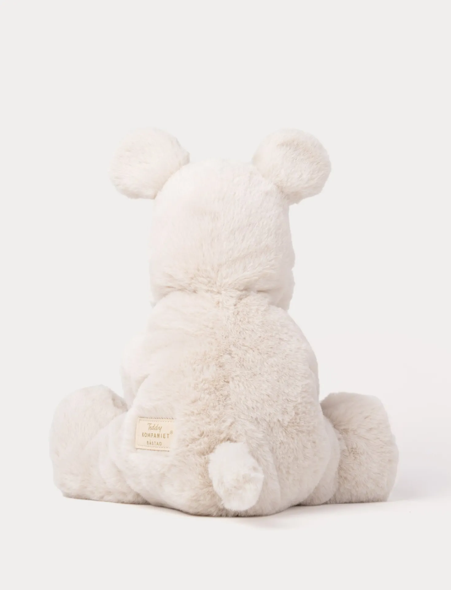 Teddy Mocca, Hund, Stor