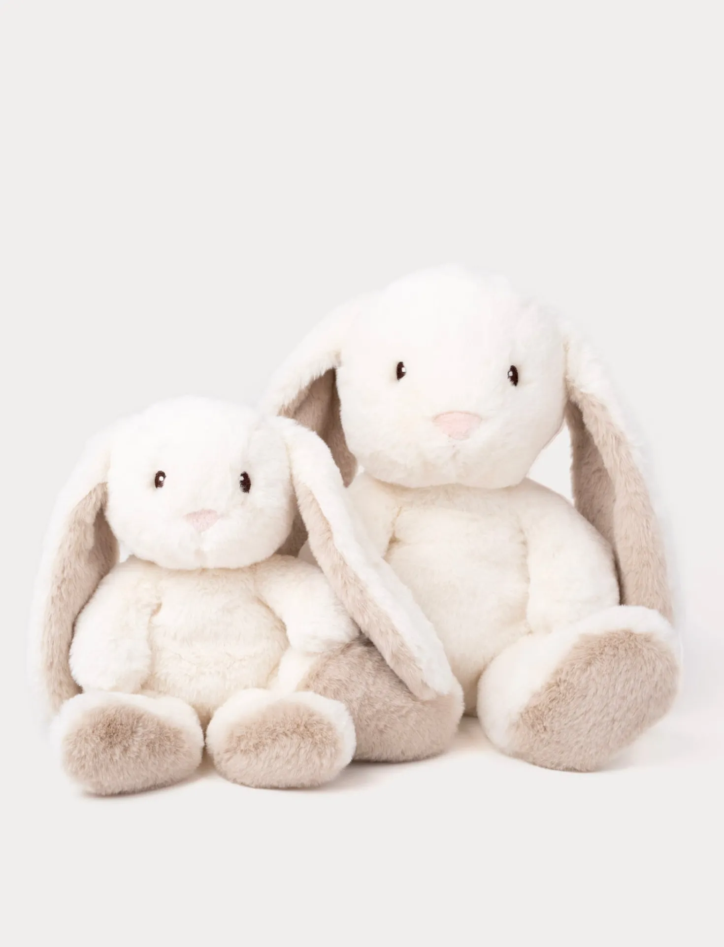 Teddy Mocca, Kanin, Liten