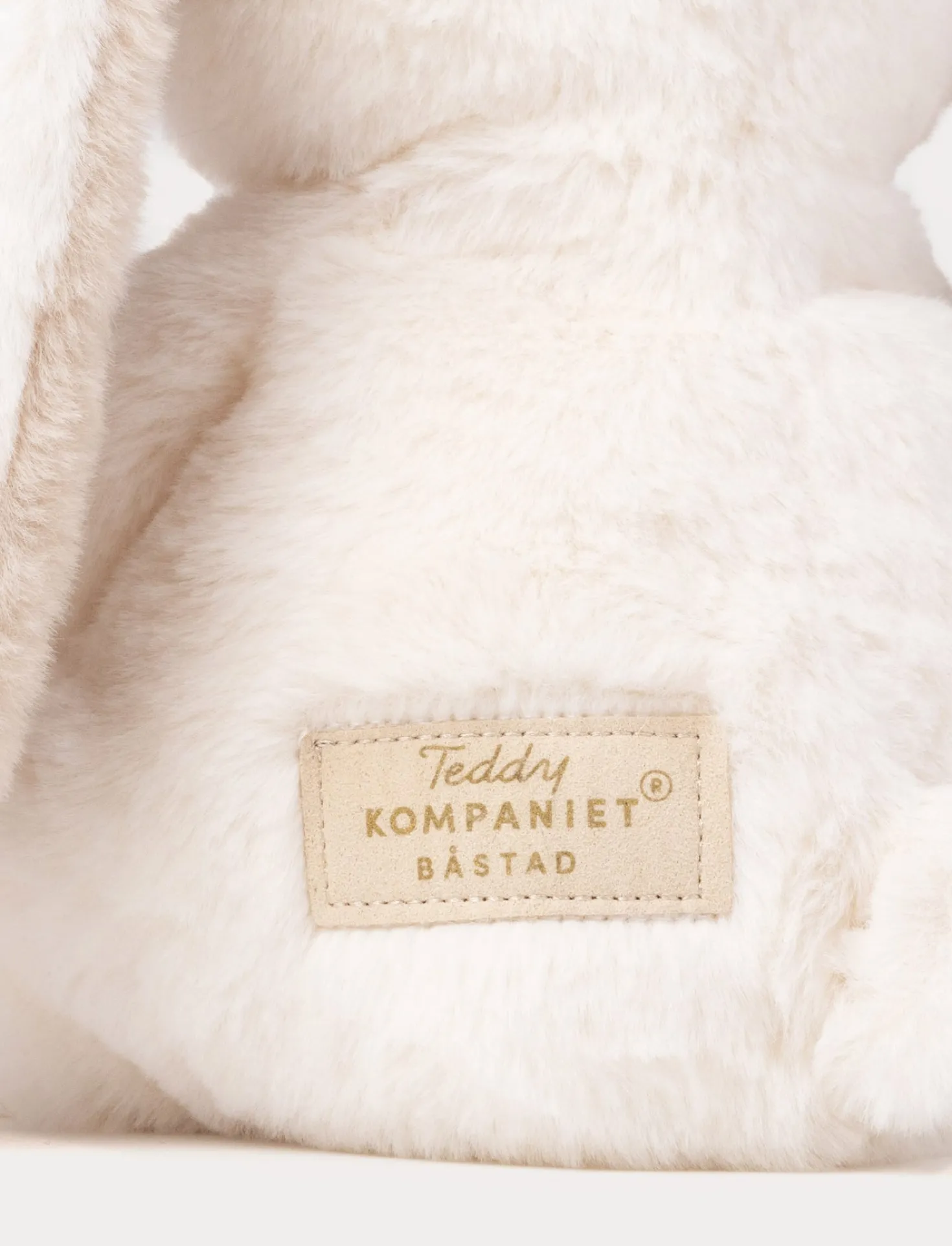 Teddy Mocca, Kanin, Liten