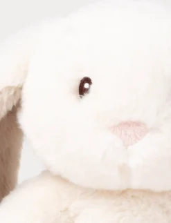 Teddy Mocca, Kanin, Liten
