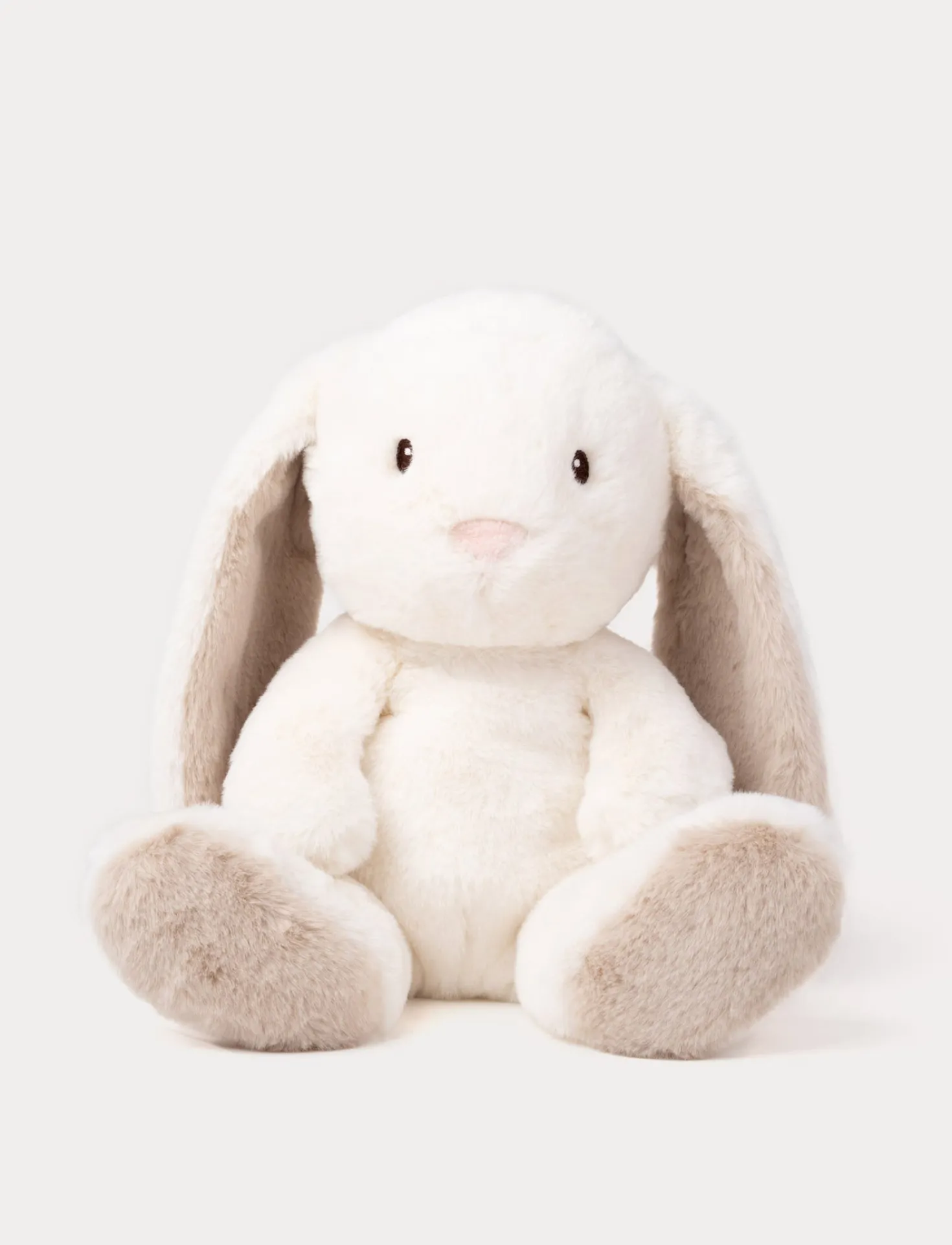 Teddy Mocca, Kanin, Stor