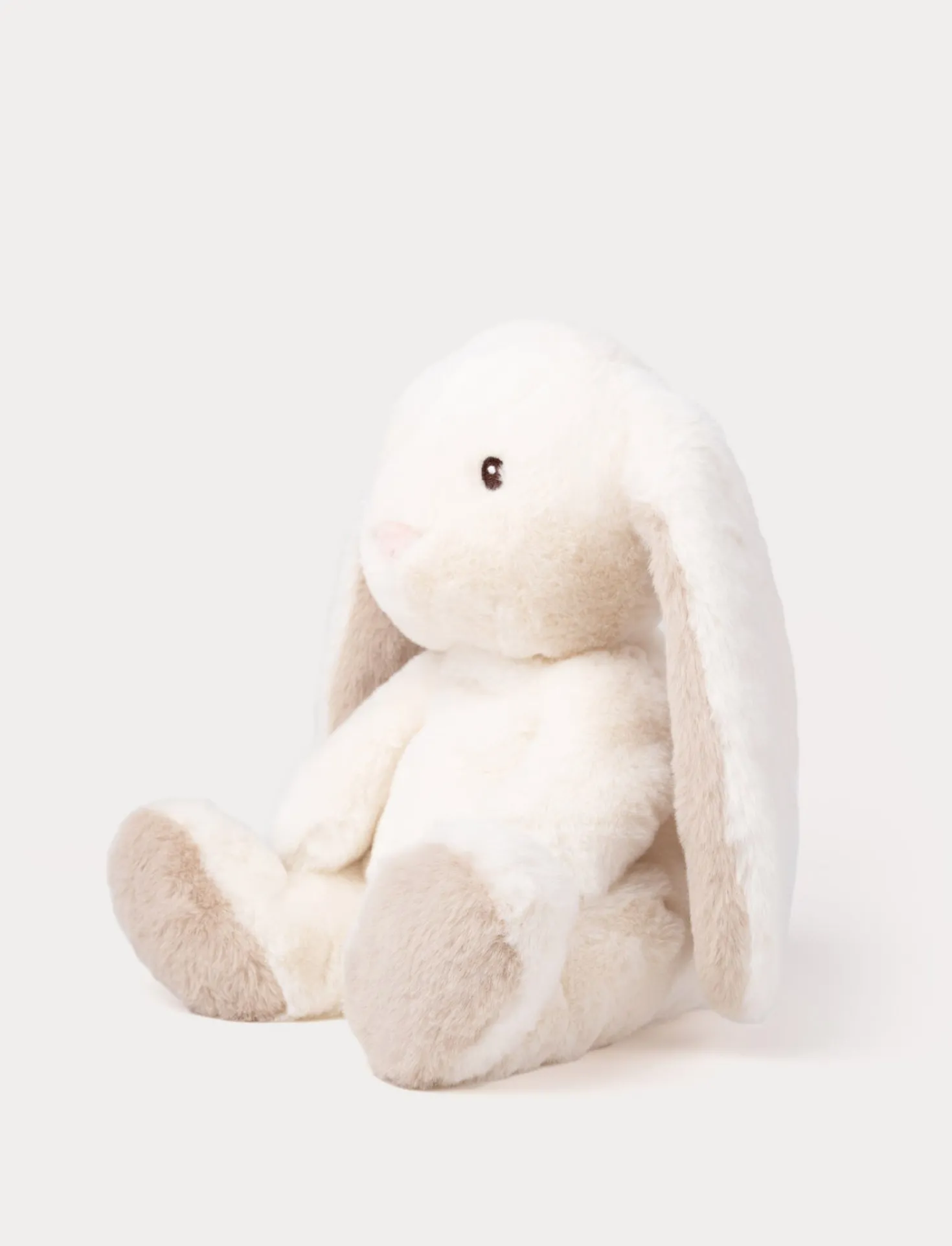 Teddy Mocca, Kanin, Stor