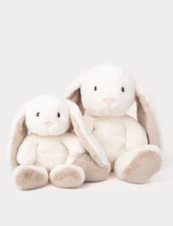 Teddy Mocca, Kanin, Stor