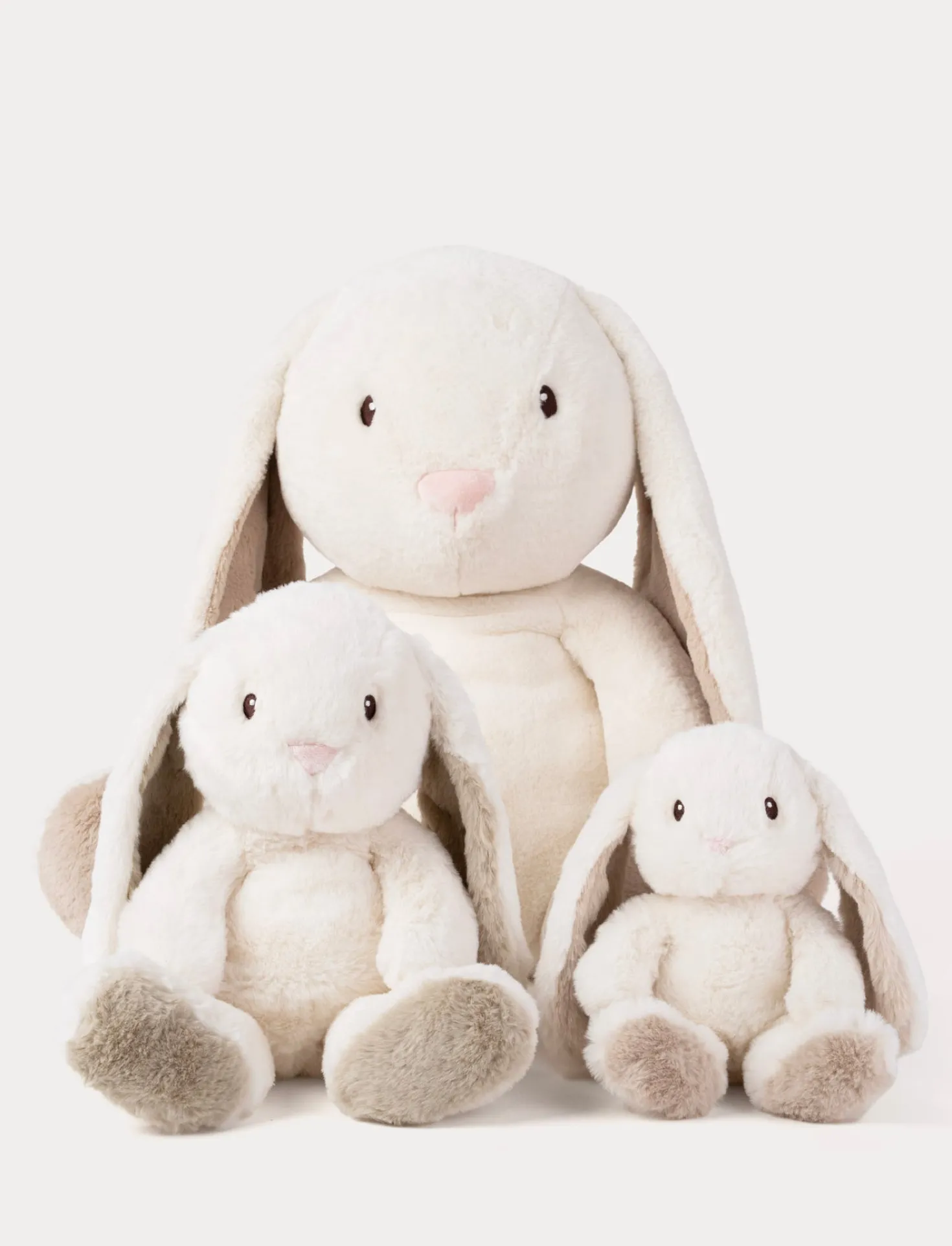 Teddy Mocca, Kanin, XL