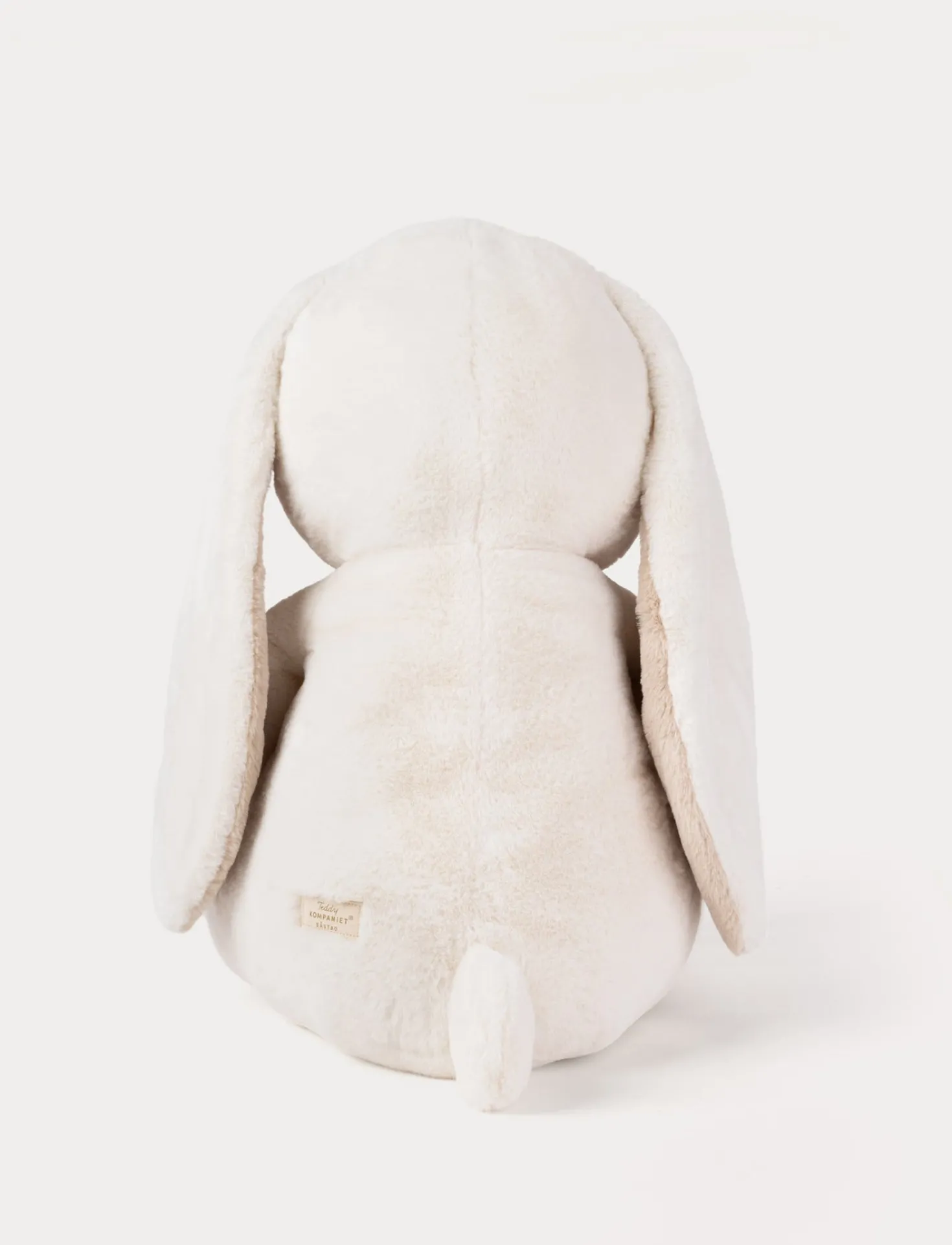 Teddy Mocca, Kanin, XL