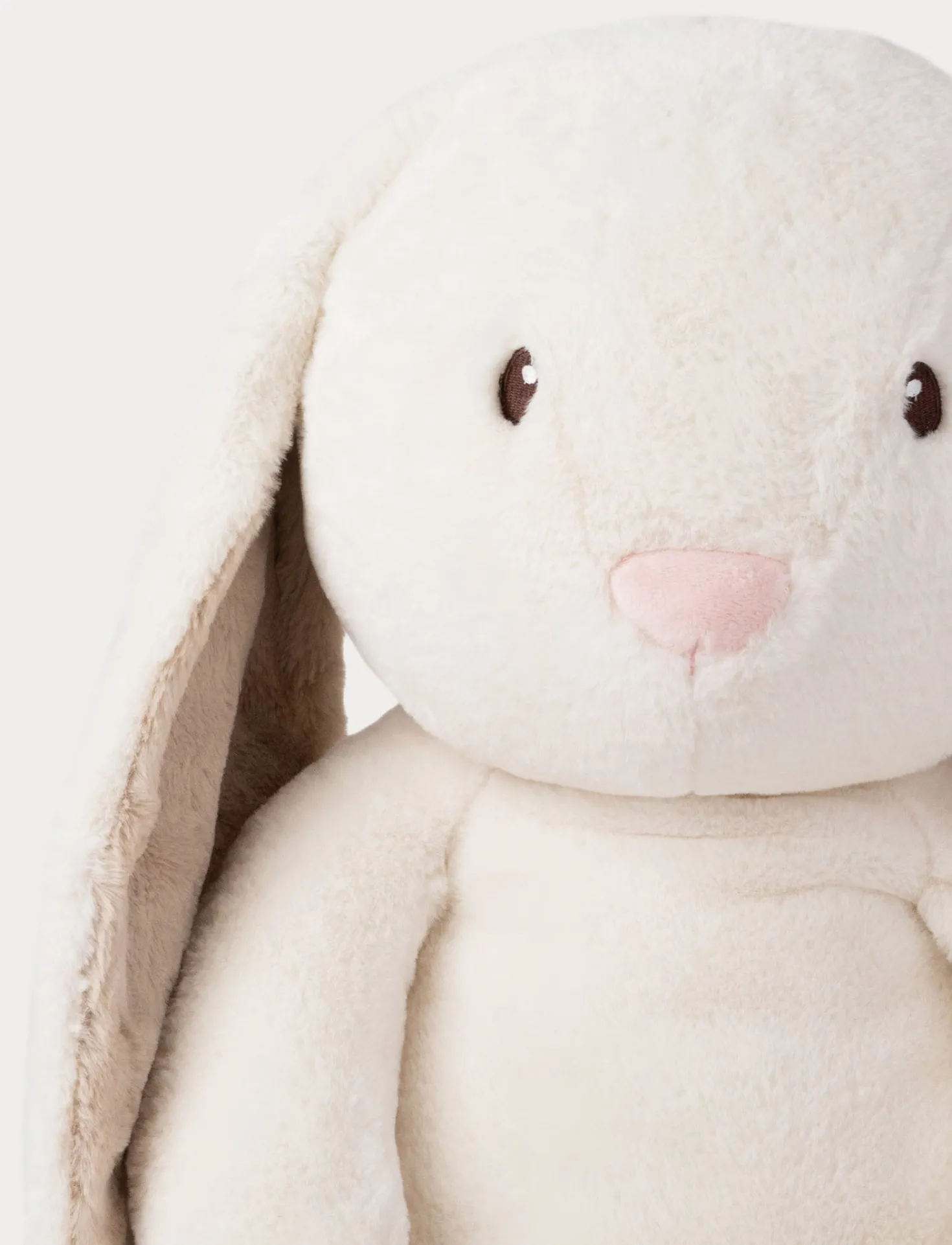 Teddy Mocca, Kanin, XL