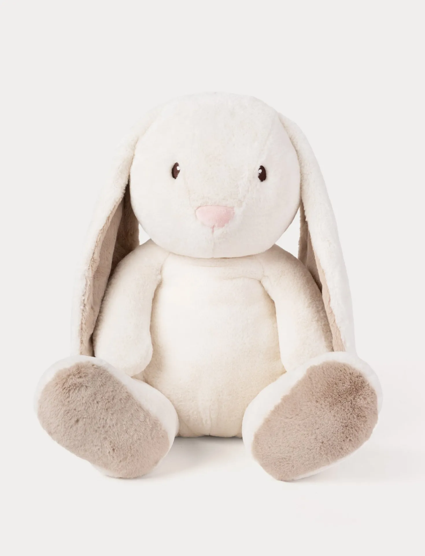 Teddy Mocca, Kanin, XL