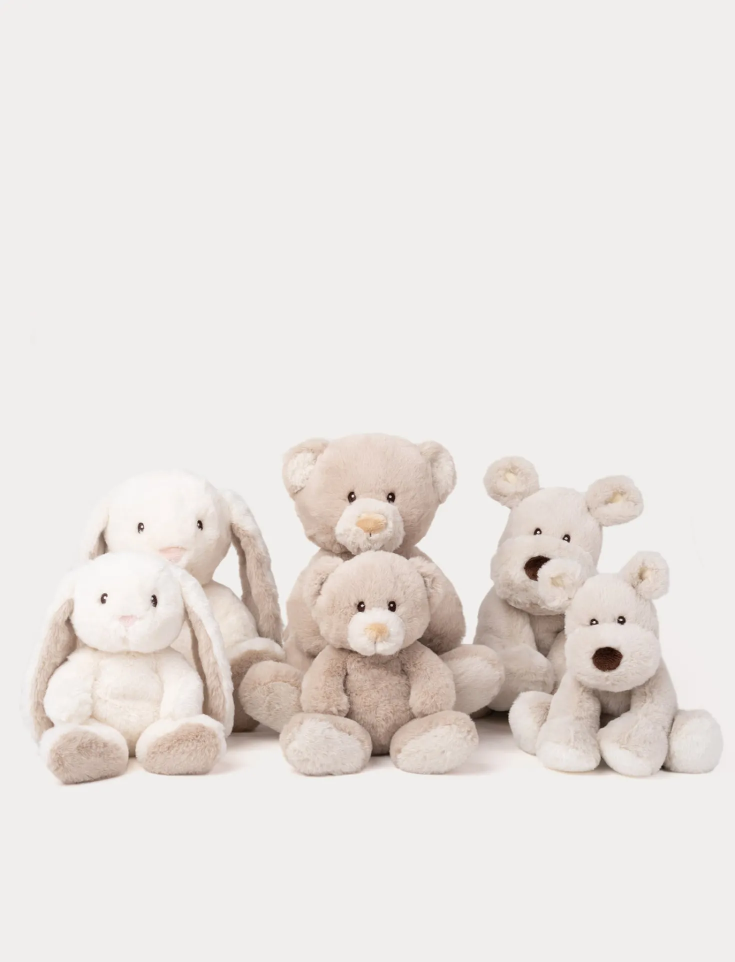 Teddy Mocca, Nalle, Stor