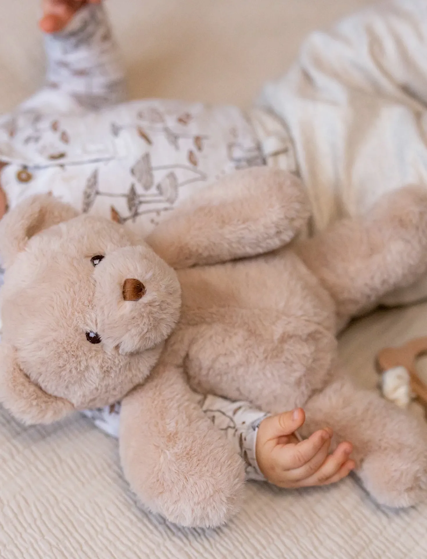 Teddy, Speldosa, Nalle, Beige, Beige