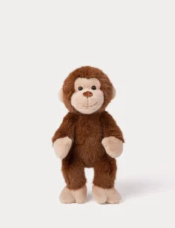 Teddy Wild, Apa