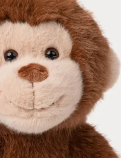 Teddy Wild, Apa