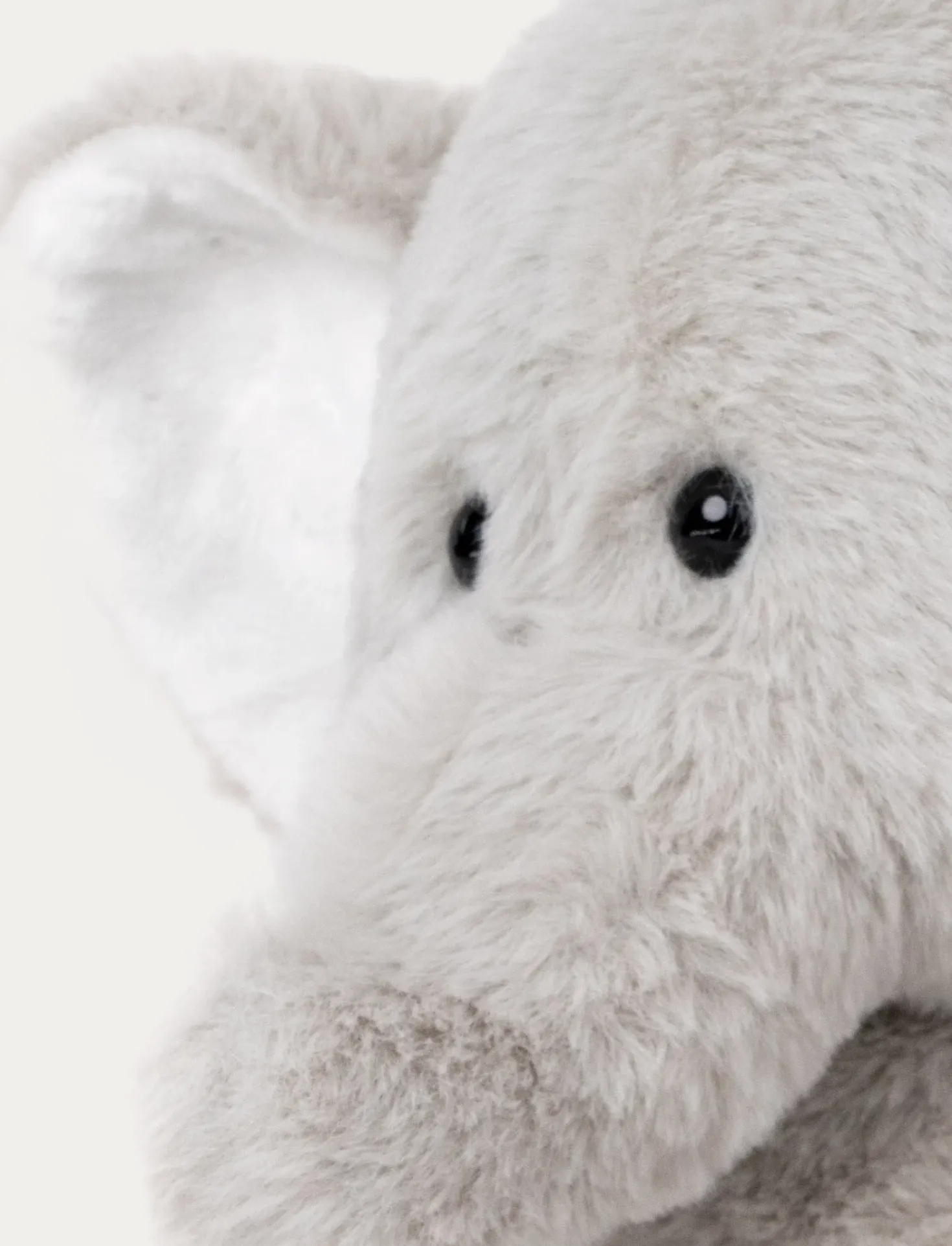 Teddy Wild, Elefant