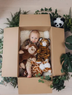 Teddy Wild, Giraff