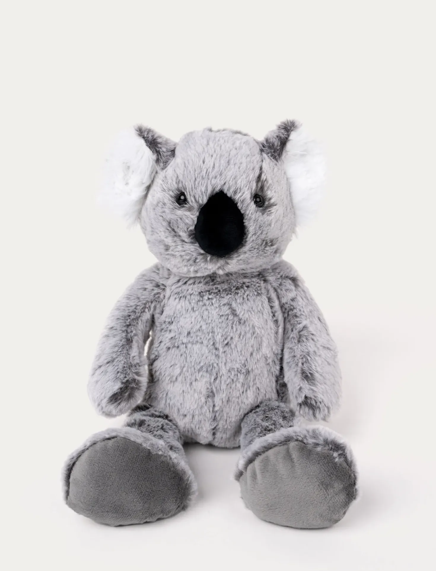 Teddy Wild, Koala