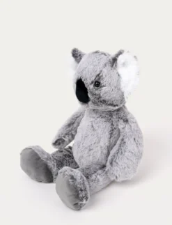 Teddy Wild, Koala