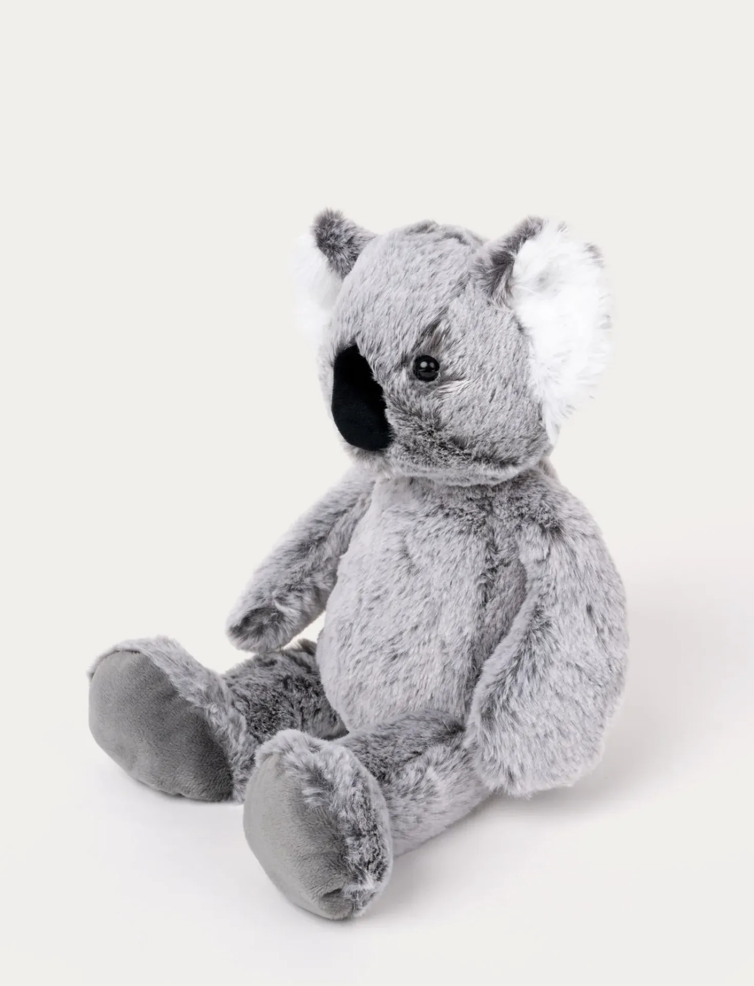 Teddy Wild, Koala