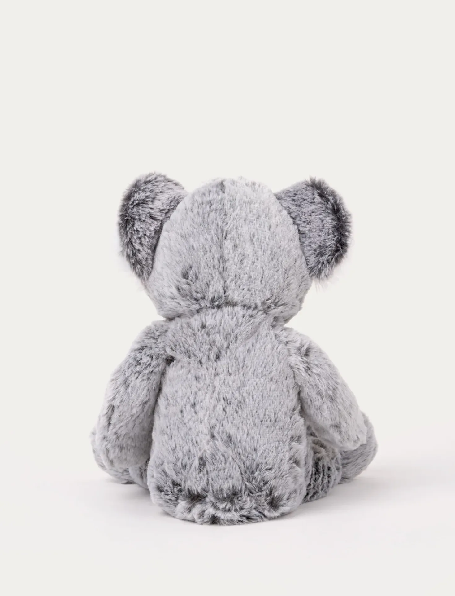 Teddy Wild, Koala