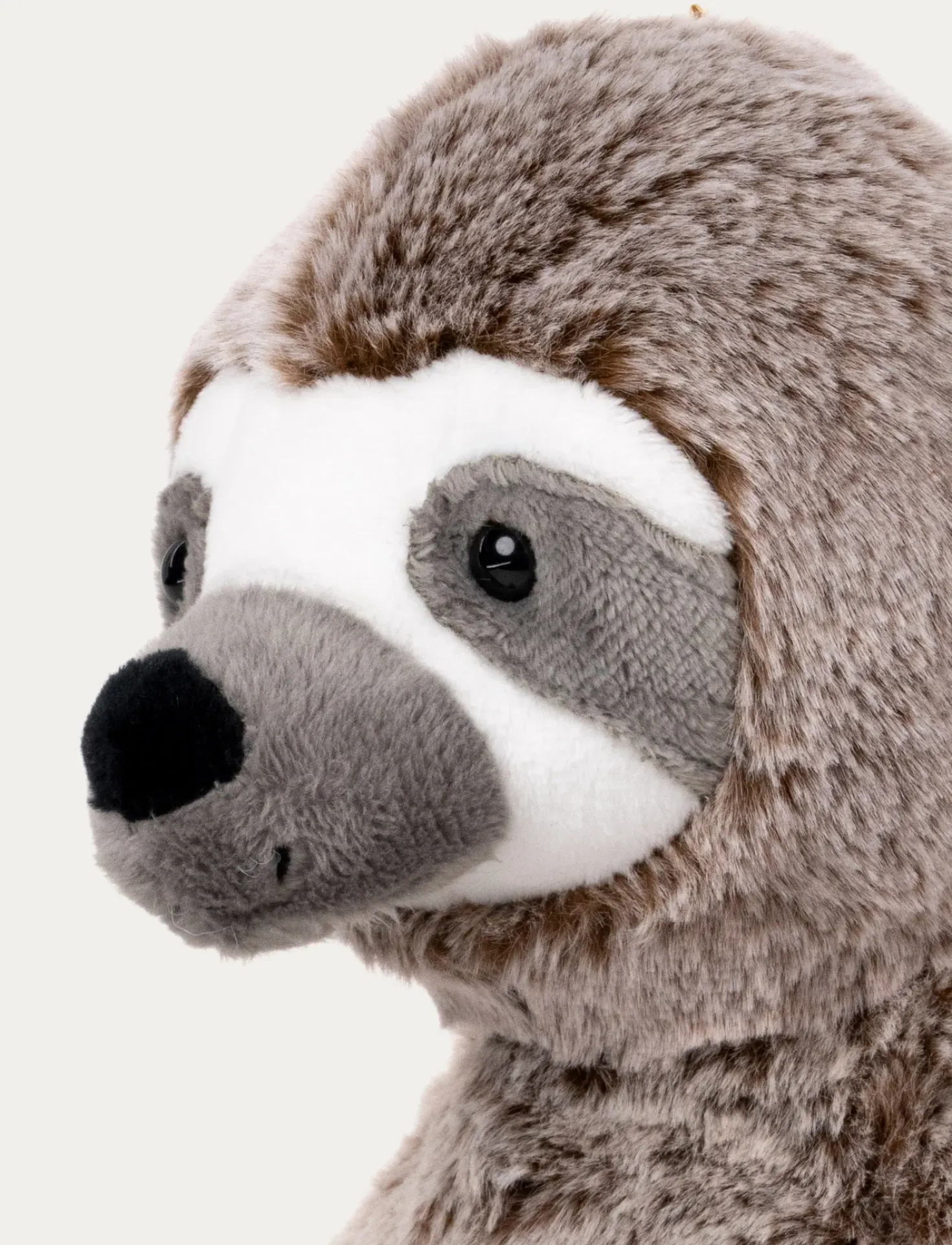 Teddy Wild, Sengångare