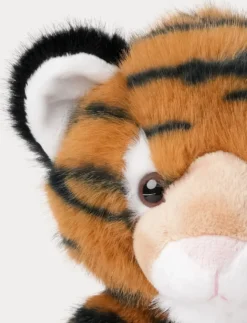Teddy Wild, Tiger
