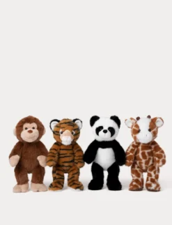 Teddy Wild, Tiger