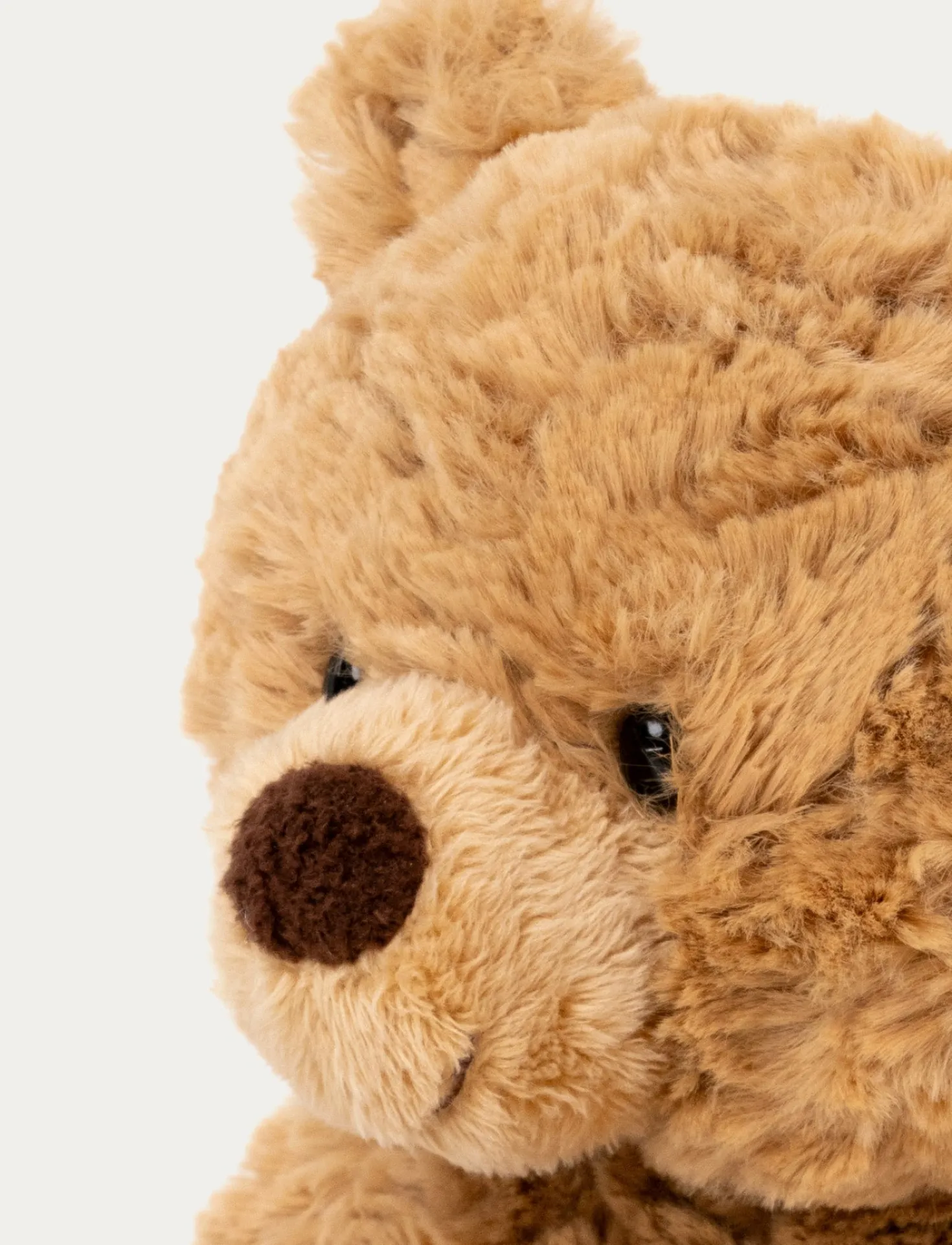 Ted, Nalle